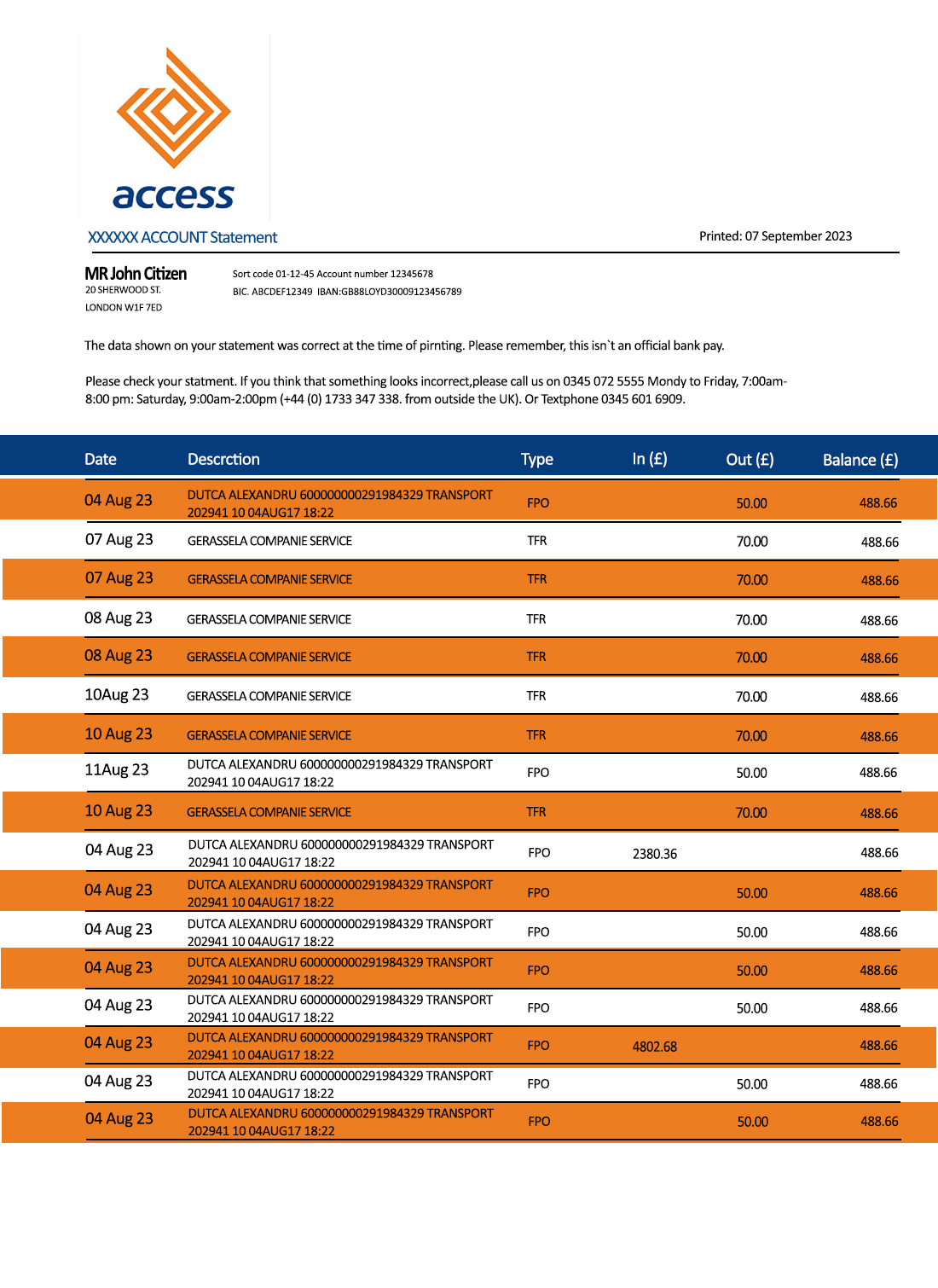 Fake Access Business Bank Statement