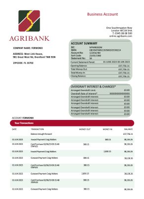 Fake Agribank company Business Bank Statement