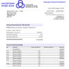 Fake Al-RAJHI Business Bank Statement