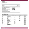 Fake Alior Business Bank Statement