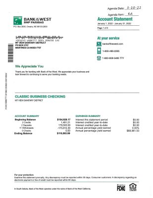 Fake BNL Business Bank Statement