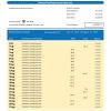 Fake Banca Transilvania Business Bank Statement