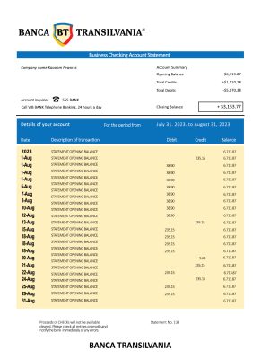 Fake Banca Transilvania Business Bank Statement