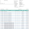 Fake Bandhan Business Bank Statement