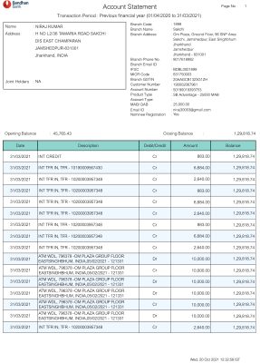 Fake Bandhan Business Bank Statement