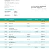 Fake Bank Syariah Indonesia Business Statement