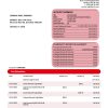 Fake Bank of Guizhou Business Bank Statement