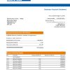 Fake Bank of India company Business Bank Statement