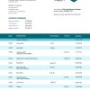 Fake Banque Saudi Fransi Business Bank Statement
