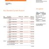 Fake Baroda company Business Bank Statement