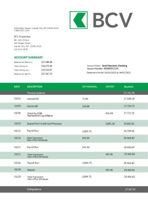 Fake Bcv Business Bank Statement