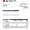 Fake Belfius Business Bank Statement