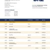 Fake Bnz Business Bank Statement