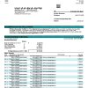 Fake CIC Business Bank Statement