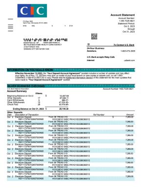Fake CIC Business Bank Statement