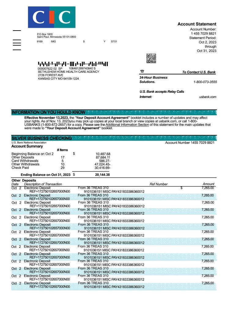Fake CIC Business Bank Statement