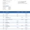 Fake CITY National Business Bank Statement