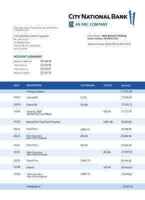 Fake CITY National Business Bank Statement
