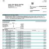 Fake CTBC Business Bank Statement