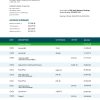 Fake Cadence Business Bank Statement