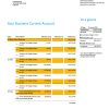Fake Canara Business Bank Statement