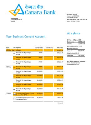 Fake Canara Business Bank Statement