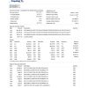 Fake Capital One Business Bank Statement
