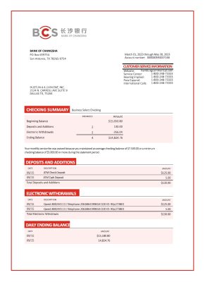 Fake Changsha enterprise Business Bank Statement