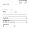 Fake Chase Business Bank Statement