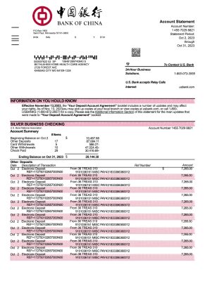 Fake China Business Bank Statement