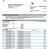 Fake China Minsheng Business Bank Statement