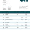 Fake Cit Bank business Bank Statement