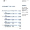 Fake Citibank Business Bank Statement
