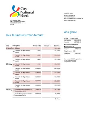 Fake City National Bank of Florida Statement