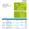 Fake Commercial Bank of Dubai Business Bank Statement