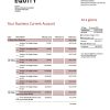 Fake Equity Business Bank Statement