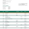 Fake FIRST Commercial Business Bank Statement