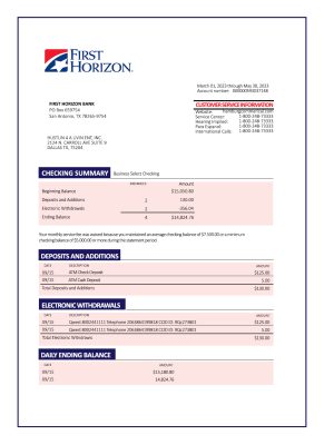 Fake FIRST Horizon Business Bank Statement