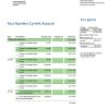 Fake GARANTI BBVA Business Bank Statement