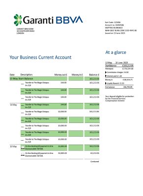 Fake GARANTI BBVA Business Bank Statement