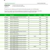 Fake Green Dot Business Bank Statement