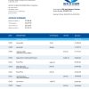 Fake Guotai Junan Securities Business Bank Statement
