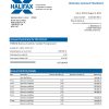 Fake HALIFAX Business Bank Statement