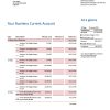 Fake HDFC Business Bank Statement