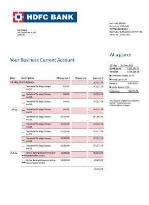 Fake HDFC Business Bank Statement