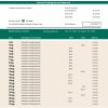 Fake Halyk Business Bank Statement