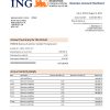 Fake ING Groep Business Bank Statement