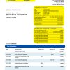 Fake Indian Business Bank Statement