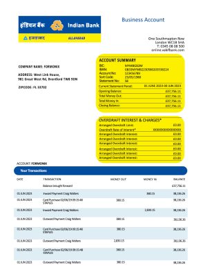Fake Indian Business Bank Statement