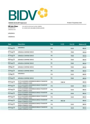 Fake Investment and Development of Vietnam (BIDV) Business Bank Statement